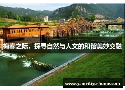 梅春之际，探寻自然与人文的和谐美妙交融