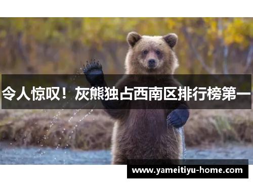 令人惊叹！灰熊独占西南区排行榜第一